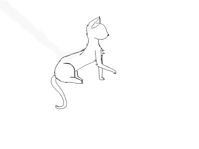 kitty