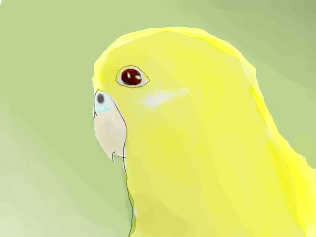 Noul meu perus <3