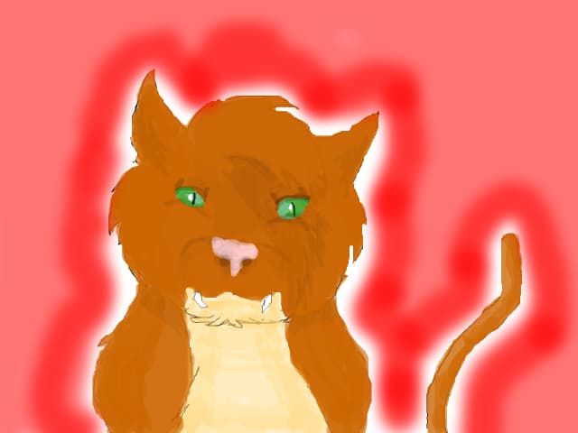 Little cat