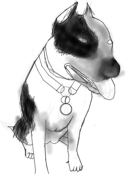 Nera