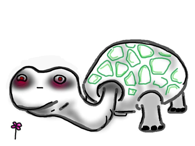 Tortois