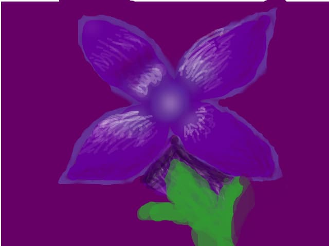 Floare de liliac