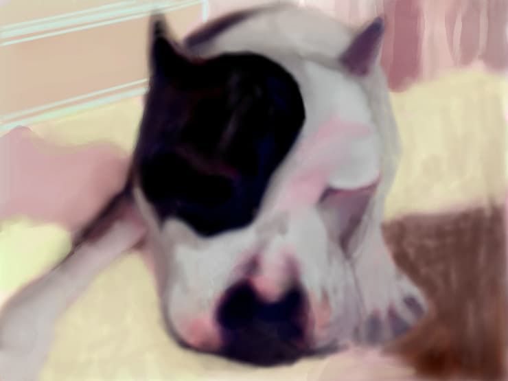 Nera