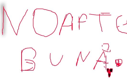 NOAPTE BUNA