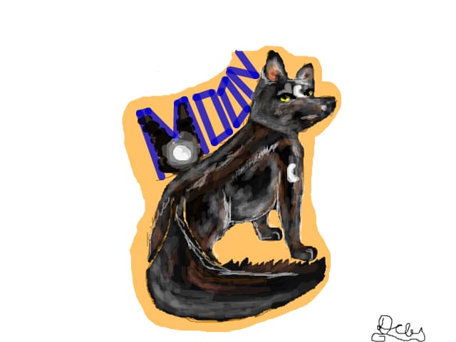Moon