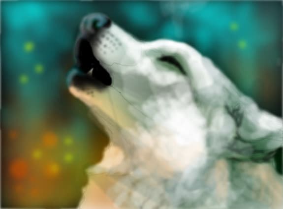 wolf