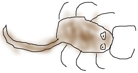 Scorpion