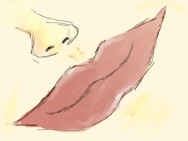 Desen #2048872