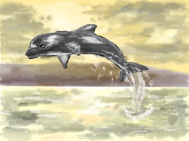 Delfin