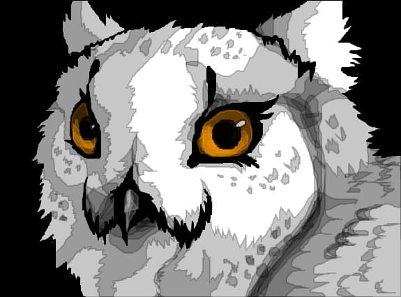 owl