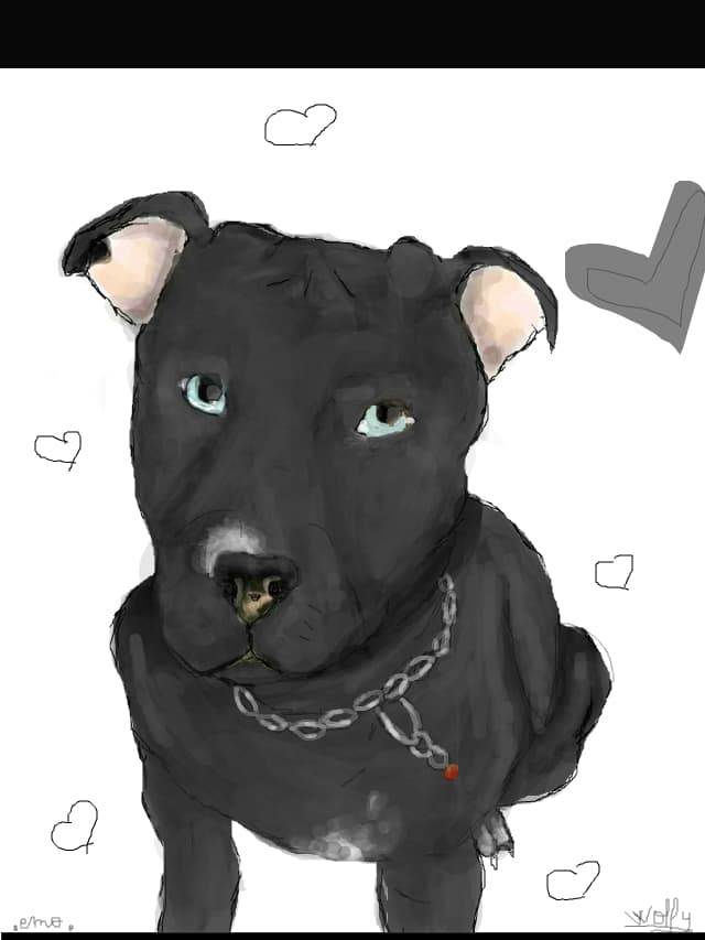 Pitbull