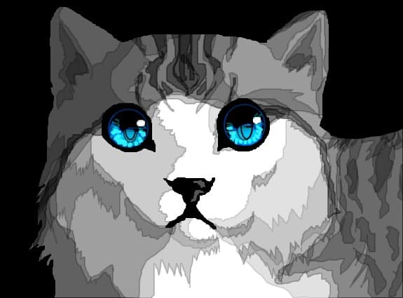miau
