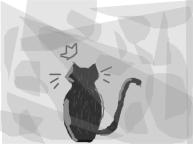 kitty