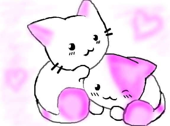 kitty