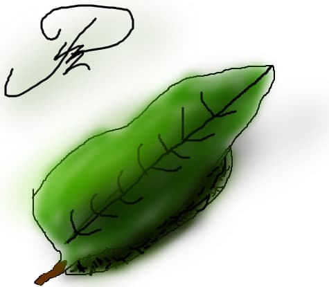 Frunza