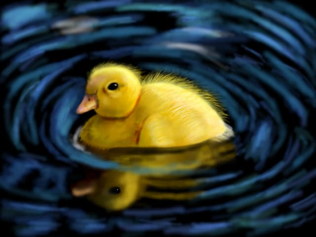 Duckling