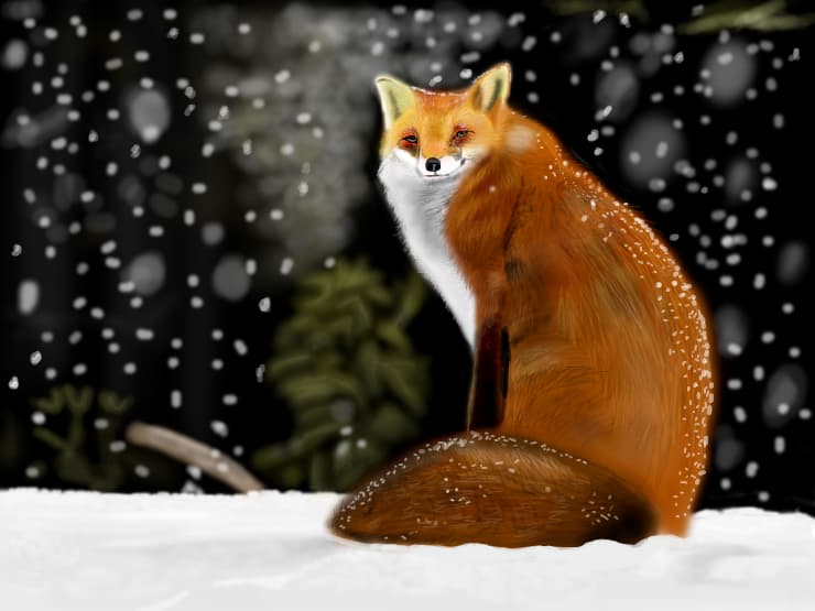 Foxy
