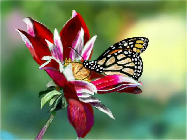 Fluture