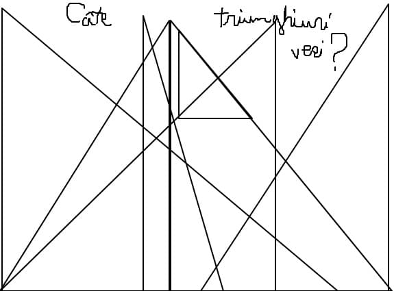 Cate triunghiuri vedeti?