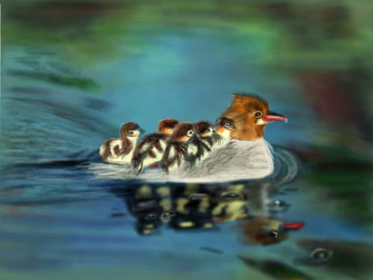 Ducklings