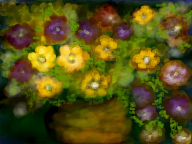 flori