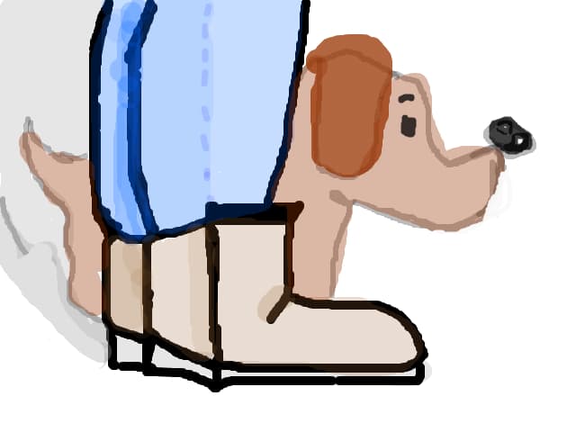 pasii
