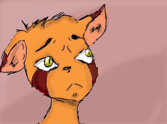 Why ;-;