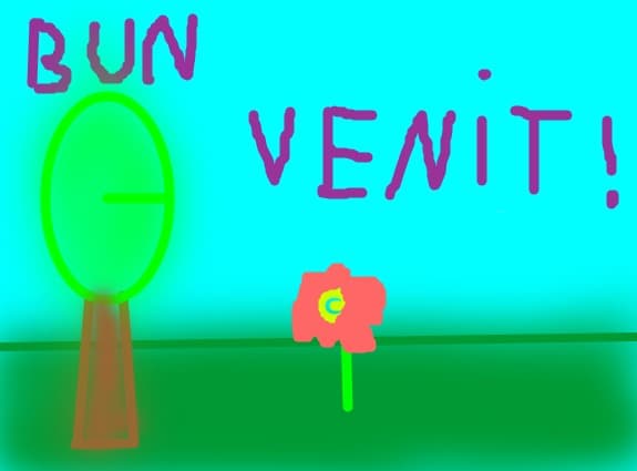 Bun venit