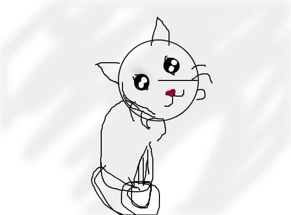 miau