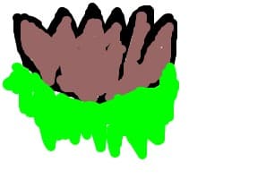 nufat