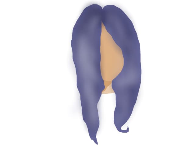 Primul meu desen facut cu o tableta grafica!^-^