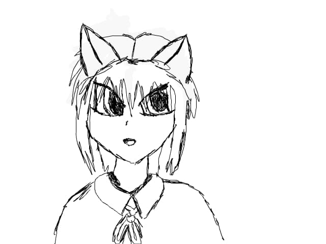 cat