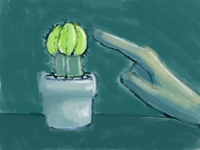 touch