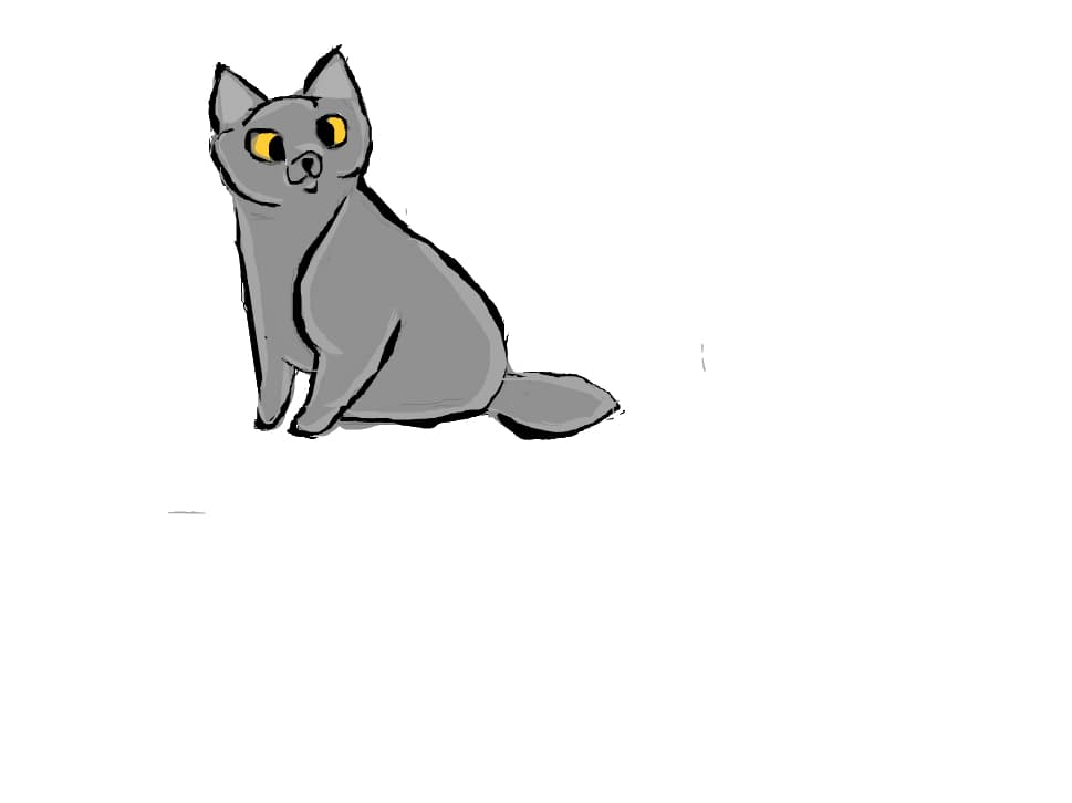 cat