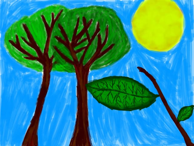 copaci,soare,natura