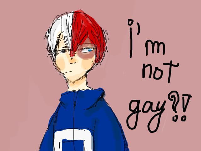 Todoroki is not gay