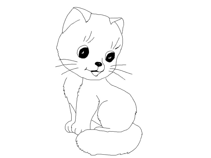 Pisi