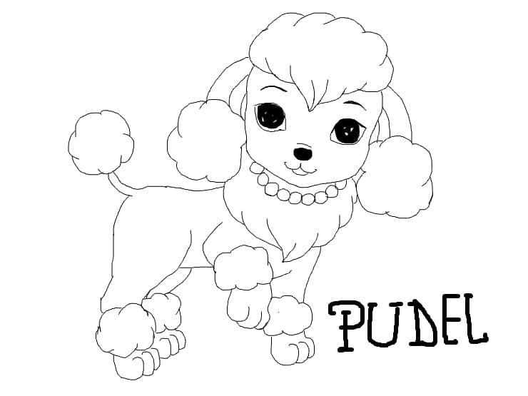Pudel