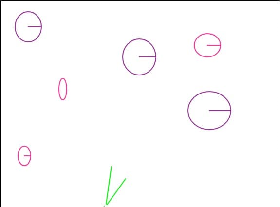 FLOAREA MAGICA
