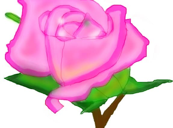 Rose