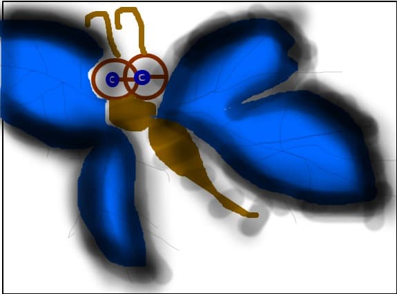 butterfly