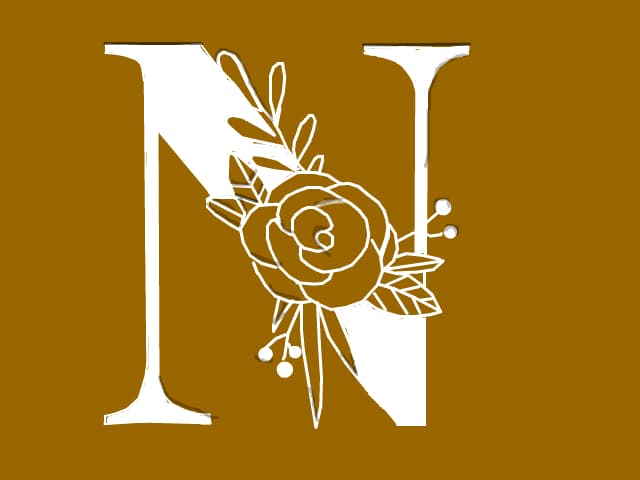 NN