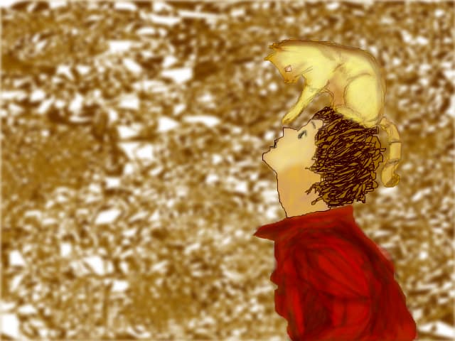 pisi