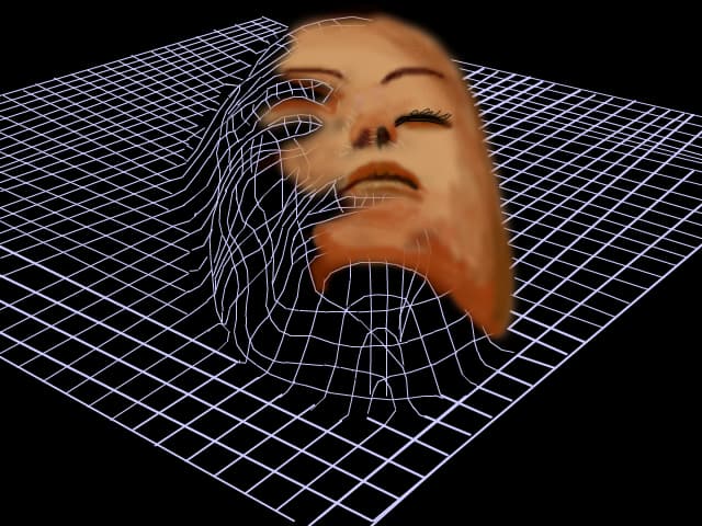 anatomie digitala