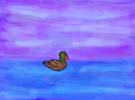 duck on a ocean?
