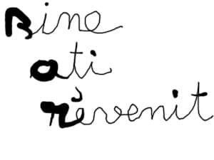 Bine ati revenit