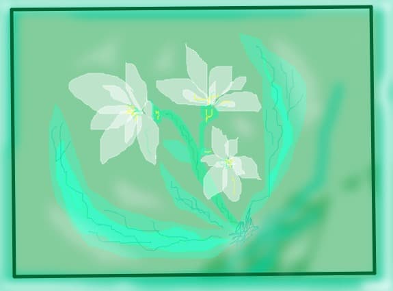 FLOAREA-INGERILOR
