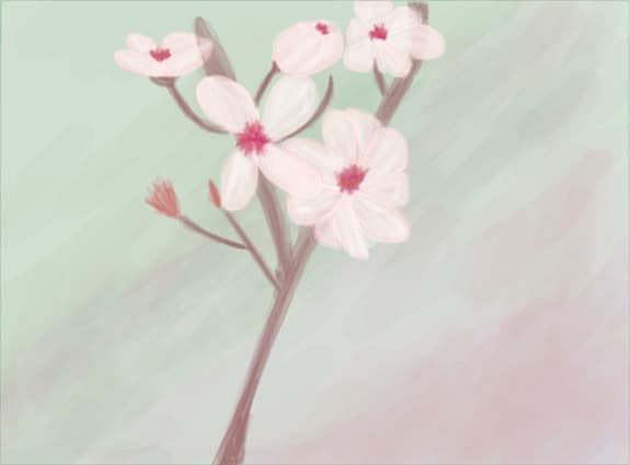 flori