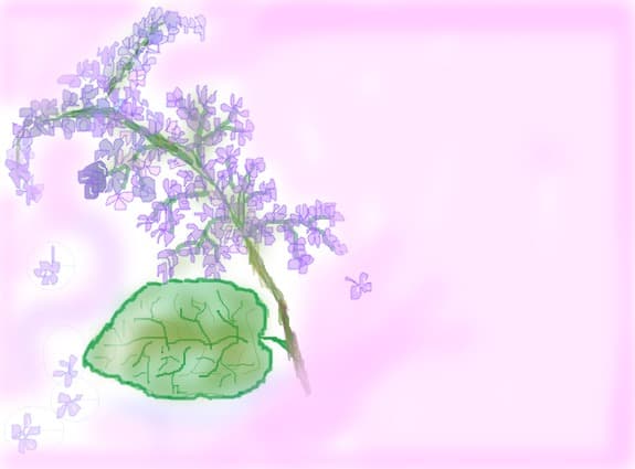 liliac