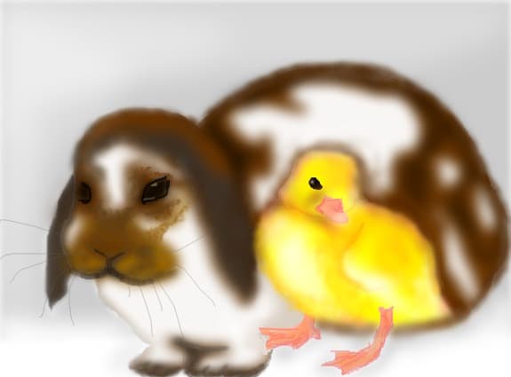 two friends